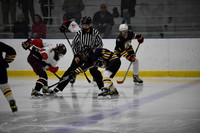 AHA State Tourney